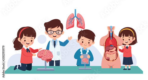 Students and their teacher studying human anatomy together using models of the brain, lungs, and internal body organs.
