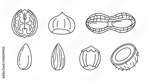 Coconut vector icons, tropical fruit illustrations, 7 piece collection, line art style, black and white