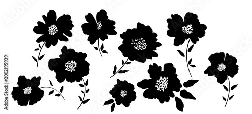 Spring flowers hand drawn vector set. Black brush flower silhouettes. Roses, peonies, chrysanthemums isolated cliparts.