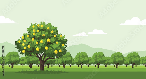 Fresh yellow lemon tree growing in a sunny green fruit orchard