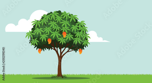 A beautiful lush mango tree with ripe orange fruits in a summer field