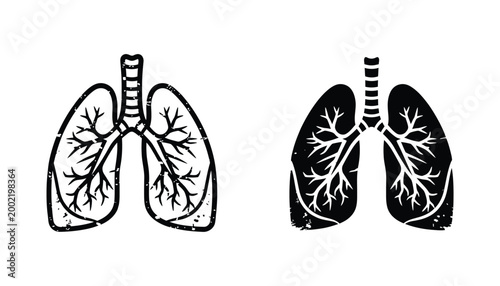 Human lung anatomy outline and silhouette icons for medical research and respiratory health education
