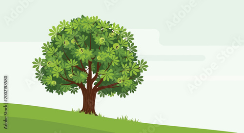 A single green chestnut tree standing on a grassy hill in summer