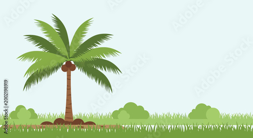 Single palm tree growing in a green tropical grassy field landscape