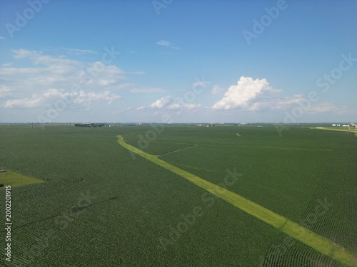 Textures of a rural Iowa field. Variations in color from the grass buffer strip to the rows of corn. Overhead a giant thunderstorm (Cumulonimbus clouds) is forming. 
