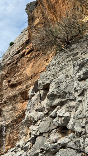 Obraz na plátne Rumia ridge cliffs with olive tree clinging to steep limestone face and rugged s