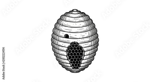 Vintage style hand drawn beehive illustration