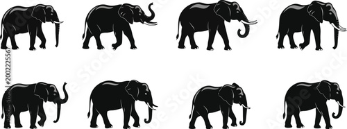 Elephant silhouette collection diverse poses of majestic african wildlife