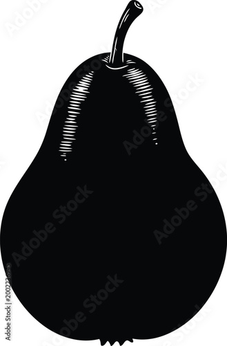 Black silhouette of a pear a vintage botanical illustration