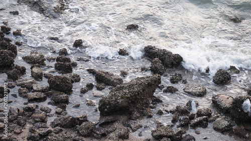 Rocky shoreline with small waves washing over uneven stones