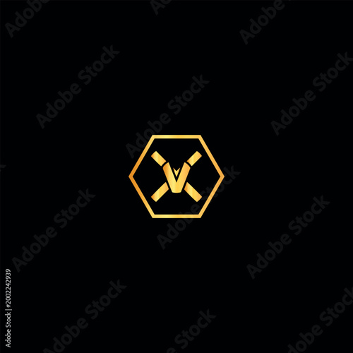 letter vx text logo design vector format
