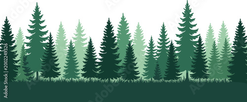 Green Coniferous Pine Forest Silhouette Panoramic Background Set Featuring Evergreen Spruce and Fir Trees Landscape Isolated on Plain White Background