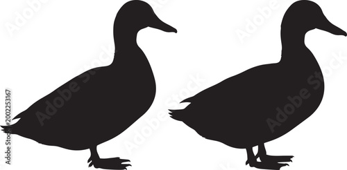 Two duck silhouettes on white background.