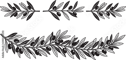 Hand drawn olive branch with olives set, vintage engraving style