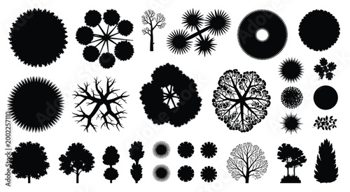 Collection of black tree silhouettes viewed from above and side profiles view tree aerial view tree side view tree