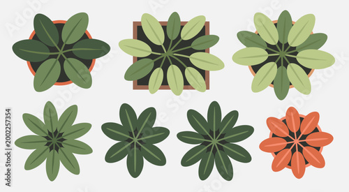 Collection of six potted plants viewed from directly above in a flat style houseplant overhead view flat green leaves