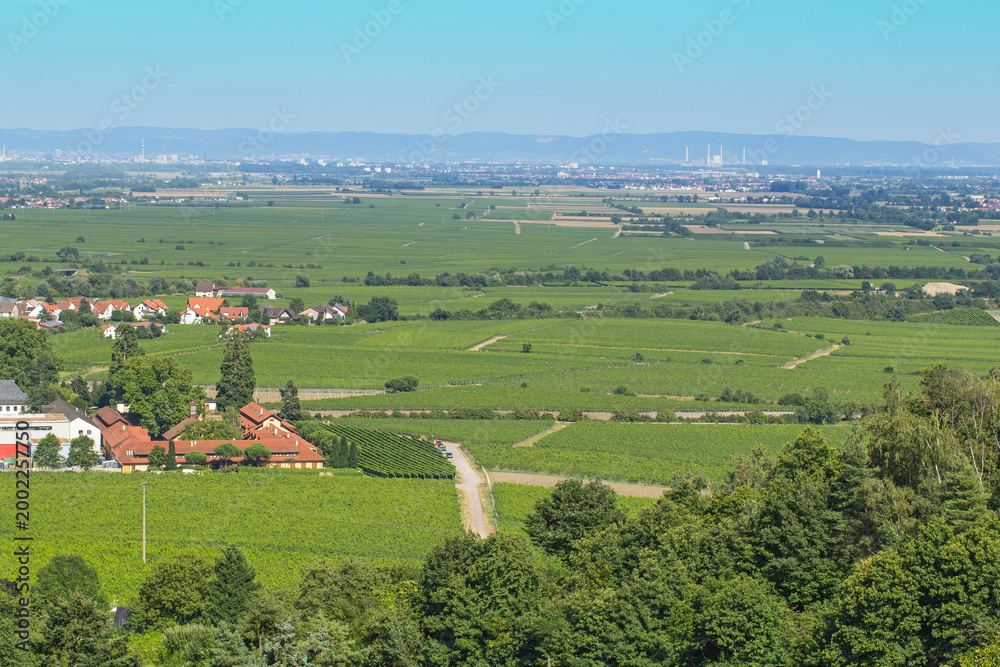 Obraz premium Vineyards spread across the landscape near a small town on a clear day with distant mountains and cities visible