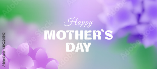 Blurred hydrangea flowers, floral greeting for Mother's Day: pink and purple petals, delicate floral background, elegant feminine spring flower illustration, vector image, colorful gradient design
