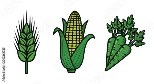 Colorful wheat, corn, and carrots on white background for agriculture and healthy eating concepts