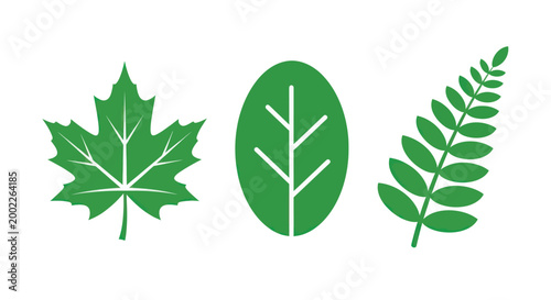 Three Green Leaves On White Background For Ecology Concepts
