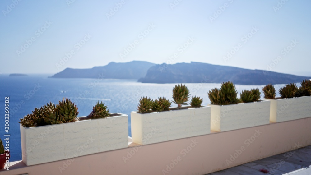 Fototapeta premium Succulent planter row on terrace with soft bokeh and shallow focus overlooking sea outdoor; background backdrop copyspace calm.