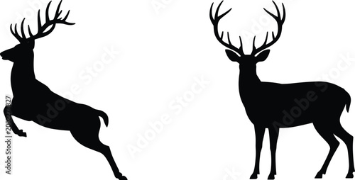Two deer silhouettes showing jumping and standing stag poses, black wildlife vector illustration isolated on white background for design