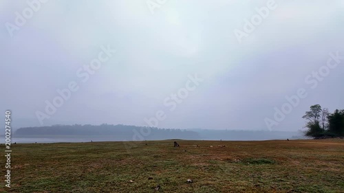 Fog covers a vast field near the water on a cool morning with trees in the distance and a calm atmosphere in the surroundings