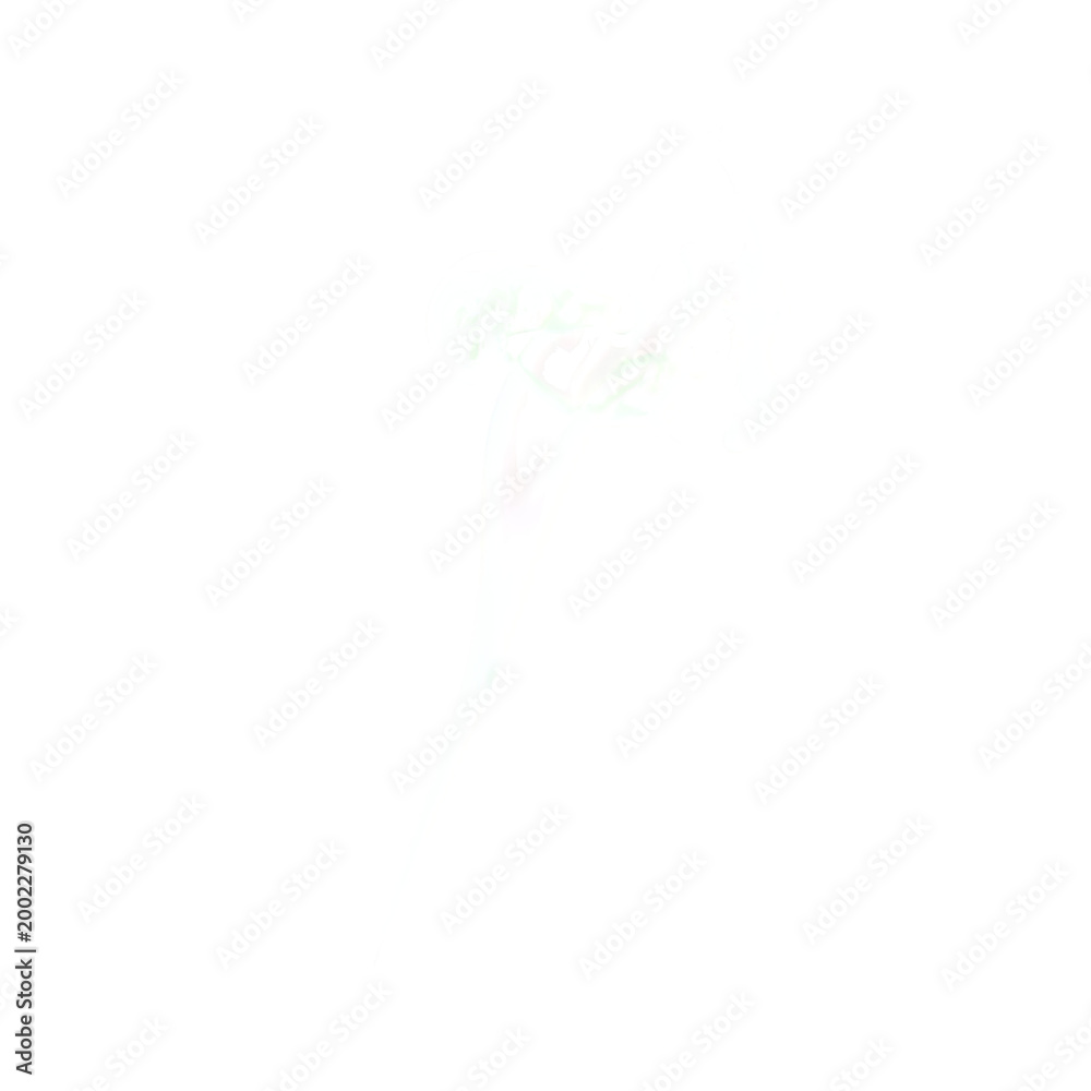 Obraz premium Soft light fog overlay isolated transparent background subtle mist effect