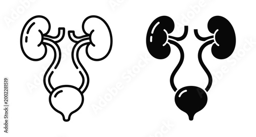 Human urinary system icon set featuring kidneys ureters and bladder in outline and solid black silhouette styles for medical design