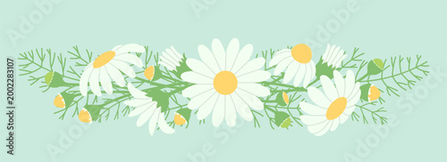 Daisies, garland of flowers, vector illustration. Chamomile, floral decor for design. Flat style.