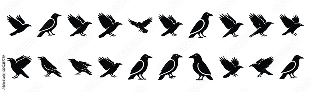 Fototapeta premium Collection of crow silhouette design element art. Happy Halloween Vector silhouette icons.