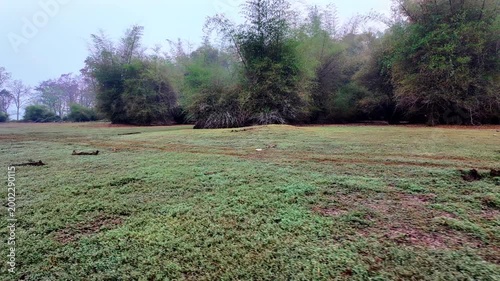 Morning scene of a grassy area with paths and trees in the background near a river in an outdoor setting