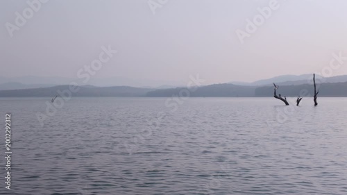 Water reflection shows tree stumps in a lake surrounded by hills on a hazy day in a natural setting