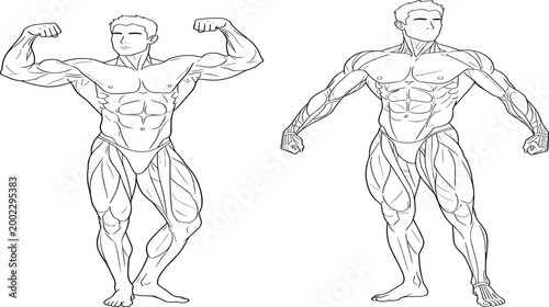 Male bodybuilder vector line art set featuring muscular silhouettes in double front biceps and relaxed competition poses for fitness gym.