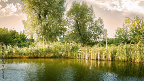 A sunny park with a pond and flowers