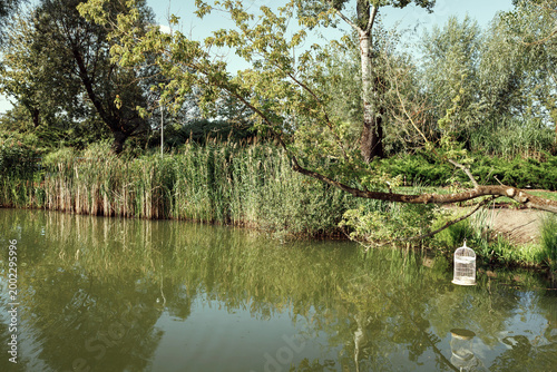 A sunny park with a pond and flowers