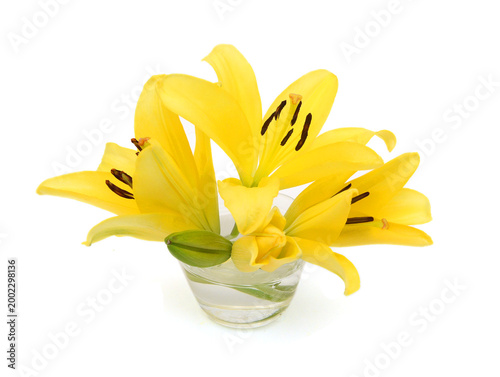 Φωτογραφία Beautiful Lily flower isolate on white