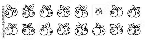 blueberry fast food silhouette icon set