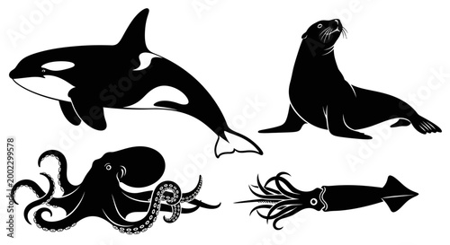 Marine Animals Silhouettes Set: Orca, Sea Lion, Octopus, and Squid
