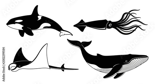 Marine Animals Silhouettes Set: Orca, Squid, Manta Ray, and Whale Illustration