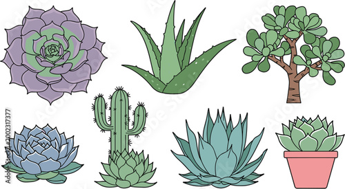 Succulent and cactus vector collection featuring aloe vera jade plant echeveria and potted desert greenery for home decor and garden design.