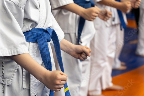 Close-up of young karate students in white gi