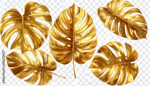 Set of golden tropical monstera leaves isolated on transparent background - Generative AI