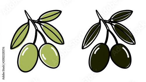 Isolated Green and Black Olives Vector Icons Set on White Background