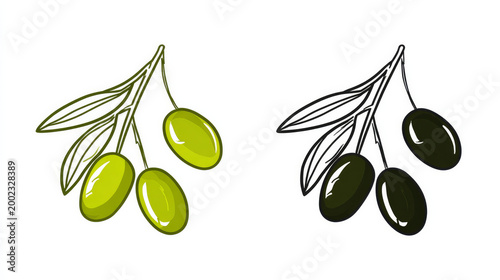 Isolated Green and Black Olives Vector Icons Set on White Background