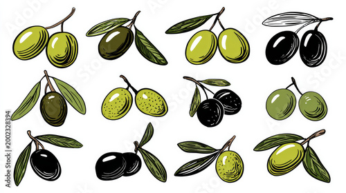 Isolated Green and Black Olives Vector Icons Set on White Background