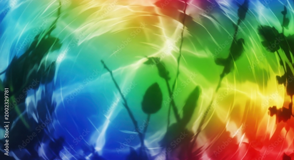 Naklejka premium Rainbow Light Through Silhouetted Branches