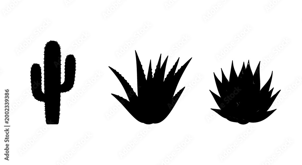 Fototapeta premium Three silhouette desert plants, a saguaro cactus and two agave plants, arranged on a white background.
