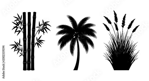 Silhouettes of bamboo, palm tree, and tall grass against a white background.