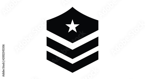 Military chevron rank insignia silhouette high quality professional